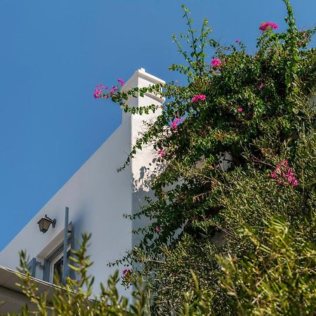 Baybees Sea View Residence Platys Gialos  Esterno foto
