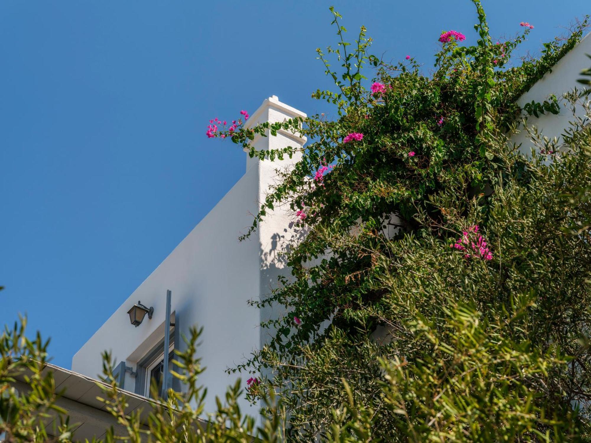 Baybees Sea View Residence Platys Gialos  Esterno foto